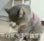 表情包：我受不了这委屈