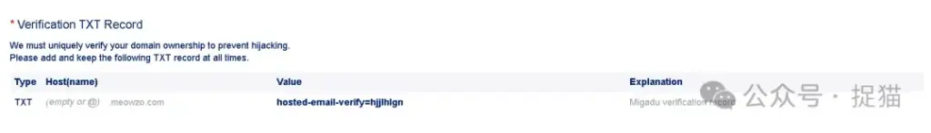 配置验证TXT记录