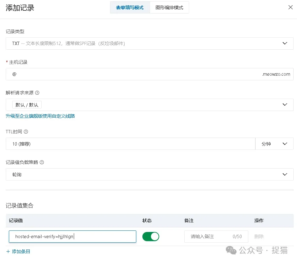 配置验证TXT记录